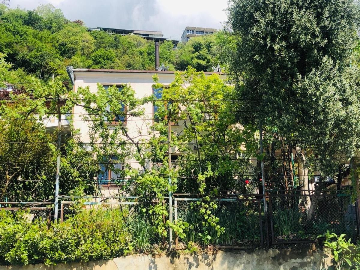 Гостевой Дом «Лиза» Hotel Gagra Exterior photo