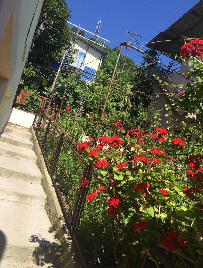 Гостевой Дом «Лиза» Hotel Gagra Exterior photo